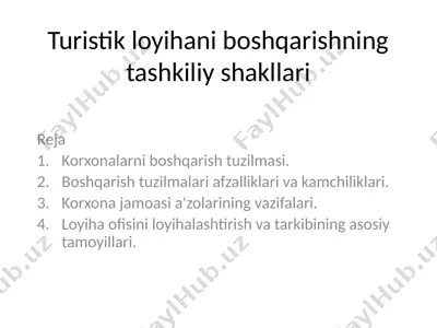 turistik loyihani boshqarishning tashkiliysh shakllari — PPTX