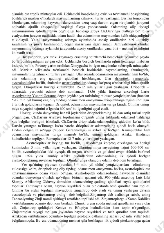 b, odamlar miloddan 100-40 ming yillar ilgari yashaganlar va asosan termachilik hamda ovchilik bilan shug‘ullanganlar. ko‘buloq joy-makoni ohangaron daryosining o‘ng irmog‘idan biri – qizil olma soyining o‘rta oqimida, angren shahridan 10-12 km g‘arbda joylashgan obliq qishlog‘idan 5 km shimoli-g‘arbda joylashgan. bu yodgorlik ko‘p qatlamli bo‘lib, unda arxantroplar, neandertallar va kramonyonlar yashashgan. ko‘lbuloq 41 ta qatlamdan iborat bo‘lib, 4-8 qatlamlari mustye davriga taalluqlidir. qo‘tirbuloq makoni samarqand viloyati, kattaqo‘rg‘on tumanidagi charxin qishlog‘idan 700-800 m uzoqda joylashgan ochiq manzilgohdir. bu yerdan ko‘plab paykonlar, qirg‘ichlar, chopping, chopper, yassi nukleuslar, fil, tur, bug‘u, yovvoyi ot, buxoro bug‘usi suyagi qoldiqlari, gulxan va kul qoldiqlari topilgan. mustye davriga oid yodgorliklarda olb borilgan tadqiqotlar shuni ko‘rsatdiki, mustye neandertallari g‘orlarda ham, ulkan mamont suyaklaridan qilingan turar joy – chumalarda ham yashaganlar. mazkur davrda odamlar olovni saqlabgina qolmay, balki yog‘ochni bir-biriga ishqalash yo‘li bilan yoki chaqmoqtoshni bir-biriga urish natijasida olov hosil qilishgan. o‘rta paleolit davri odamlarining asosiy mashg‘uloti mamont, bison, …