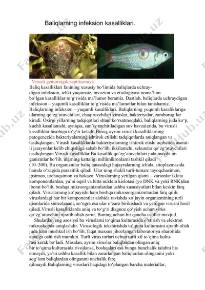 baliqlarning infeksion kasalliklari — DOCX