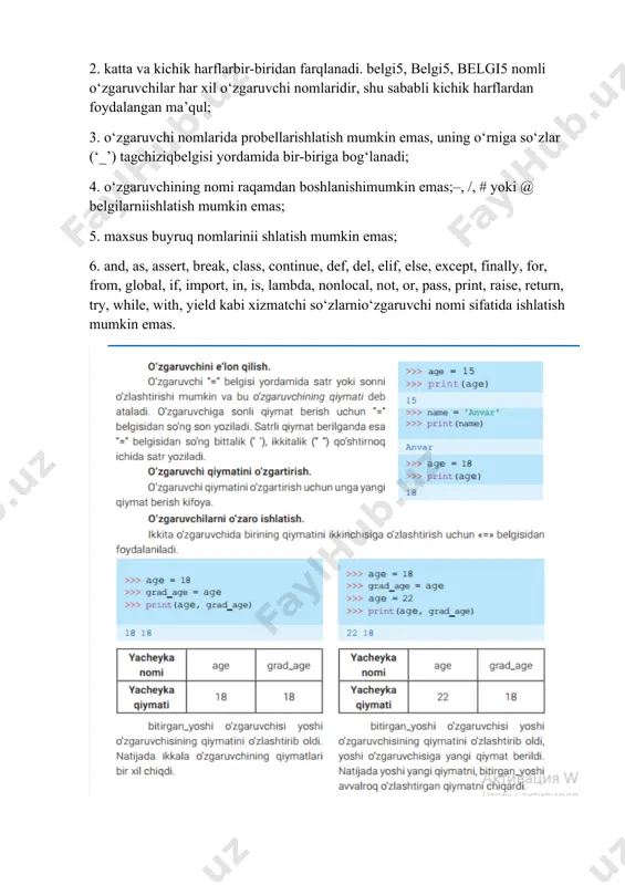 pythonda o‘zgaruvchilarni tavsiflash - Page 2