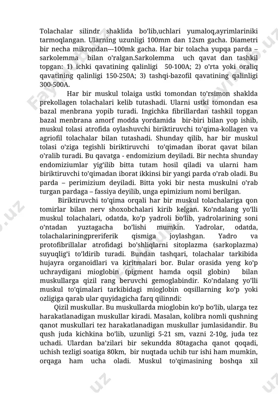 skeletning ko’ndalang yo’lli muskul to’qimasi asosini uzun, ko’p yadroli qora va oq disklardan iborat tolachalar tashil etadi. tolachalar silindr shaklida bo’lib,uchlari yumaloq,ayrimlariniki tarmoqlangan. ularning uzunligi 100mm dan 12sm gacha. diametri bir necha mikrondan---100mk gacha. har bir tolacha yupqa parda –sarkolemma bilan o’ralgan.sarkolemma uch qavat dan tashkil topgan: 1) ichki qavatining qalinligi 50-100a; 2) o’rta yoki oraliq qavatining qalinligi 150-250a; 3) tashqi-bazofil qavatining qalinligi 300-500a. har bir muskul tolaiga ustki tomondan to’rsimon shaklda prekollagen tolachalari kelib tutashadi. ularni ustki tomondan esa bazal menbrana yopib turadi. ingichka fibrillardan tashkil topgan bazal menbrana amorf modda yordamida bir-biri bilan yop ishib, muskul tolasi atrofida oylashuvchi biriktiruvchi to’qima-kollagen va agriofil tolachalar bilan tutashadi. shunday qilib, har bir muskul tolasi o’ziga tegishli biriktiruvchi to’qimadan iborat qavat bilan o’ralib turadi. bu qavatga - endomizium deyiladi. bir nechta shunday endomiziumlar yig’ilib bitta tutam hosil qiladi va ularni ham biriktiruvchi to’qimadan iborat ikkinsi bir yangi parda o’rab oladi. bu …