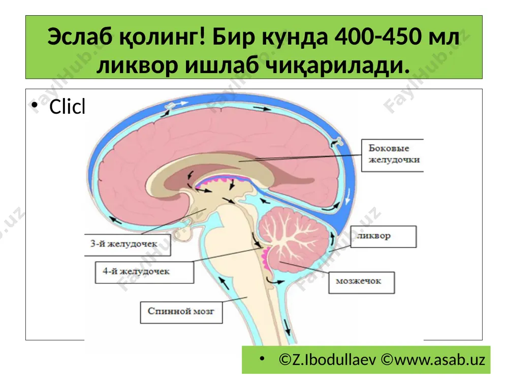miyapardalari. likvor. meningit. leptomeningit. xorioependimatit - Page 4