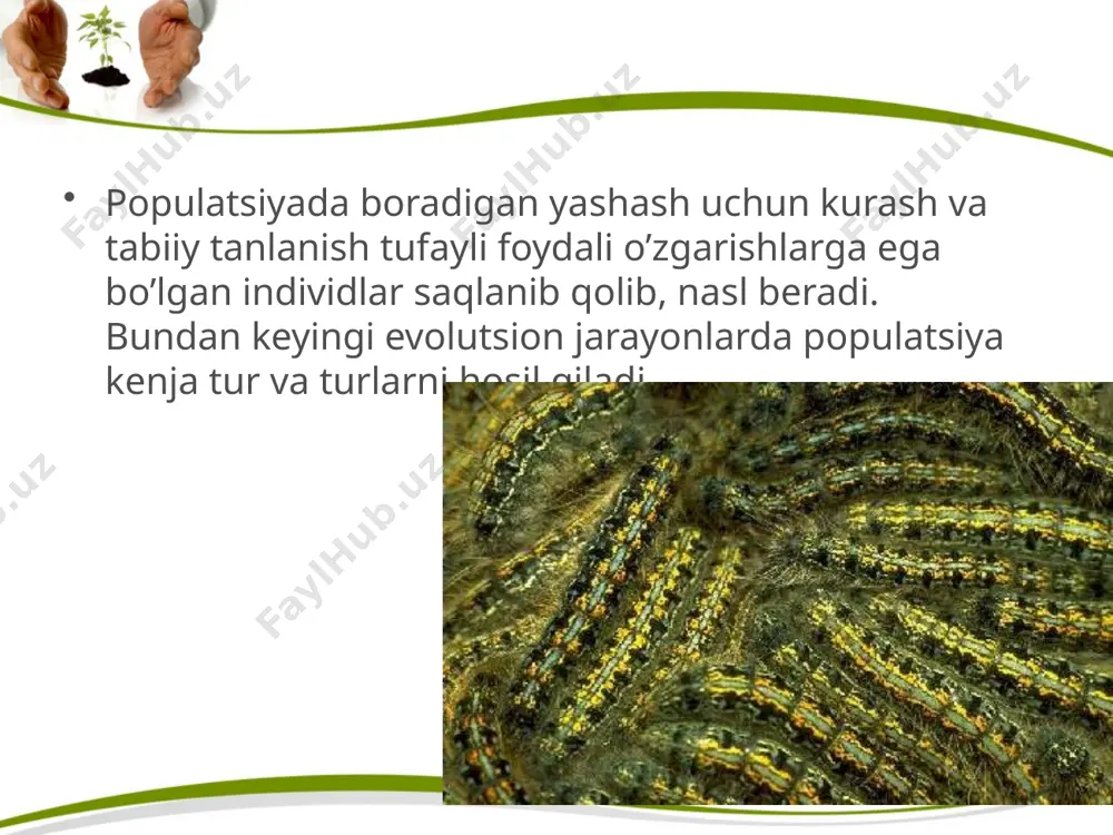 evolutsiyaning sintetik nazariyasi. 10 - sinf - Page 5
