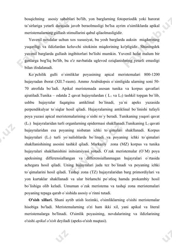 chki to`qimalarini hosil qiladi. tashqi zona (tz) hujayralaridan barg primordiylari va yon kurtaklar shakllanadi va ular birlamchi po`stloq hamda prokambiy hosil bo`lishiga olib keladi. umuman o`zak meristema va tashqi zona meristemalari poyaning tepaga qarab o`sishida asosiy o`rinni tutadi. o'sish xillari. shuni aytib utish lozimki, o'simliklarning o'sishi meristemalar hisobiga bo'ladi. meristemalarning o'zi ham ikki xil, yani apikal va literal meristemalarga bo'linadi. o'simlik poyasining, novdalarining va ildizlarining o'sishi apikal o'sish deyiladi (apeks-o'sish nuqtasi). apikal meristemalar poyaning uchki qismi va ildizlarning o’sich qismida bo'lib asosan poyaning va ildizning bo'yiga o'sishini taminlaydi. lateral meristemalarda esa silindrsimon yetilmagan hujayralar bo'lib ular asosan yog'ochlik va qobiq hosil bo'lishining asosi hisoblanadi, hamda o'simlik tanasining eniga o'sishini taminlaydi. eniga o'sishi lateral yani yon meristemalar hisobiga bo'ladi. bunga kambiy peritsikl va fellogen to'qimalarining o'sishini misol qilib ko'rsatish mumkin. bazal o'sish. ko'pincha barglarning o'sishida kuzatiladi va ko'pincha chegaralangan bo'ladi. bunda dastlab barcha hujayralar o'sa boshlaydi. keyinchalik esa uning asosi o'sa …