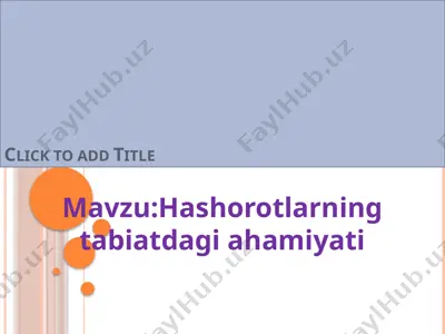 hashorotlarning tabiatdagi ahamiyati — ZIP