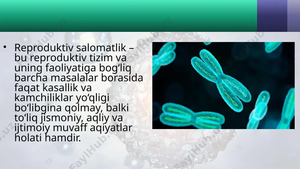 qatlanishi, ayollar organizmida yod, foliy kislotasi, tuz tanqisligi, ekologik omillar, jumladan, ayrim dori preparatlarini qabul qilish buning asosiy sabablaridir. image2.jpeg image3.jpeg image4.jpeg image5.jpeg image6.jpeg image7.jpeg image8.jpeg image9.jpeg image10.jpeg image1.jpeg /docprops/thumbnail.jpeg