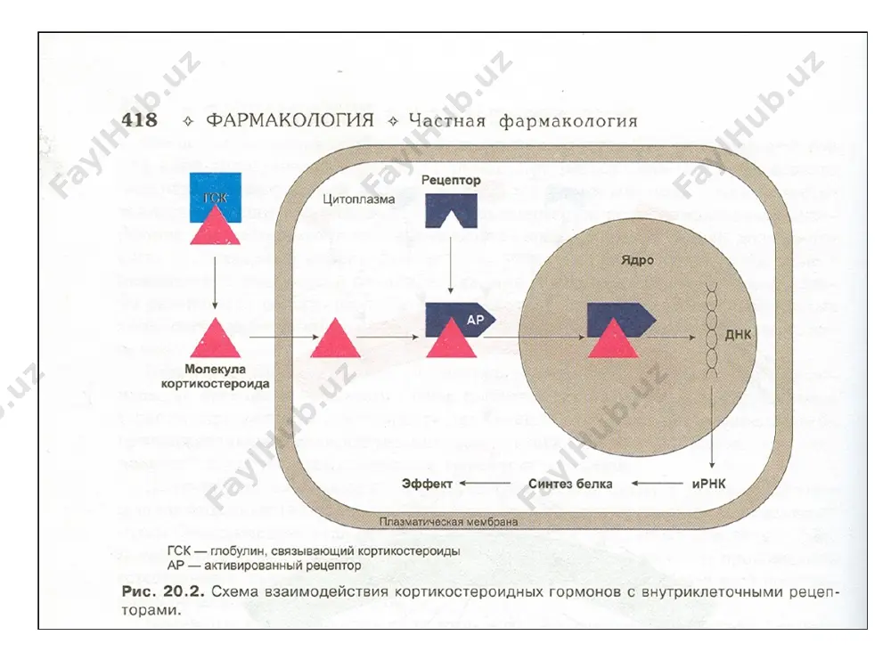 гормонлар - Page 4