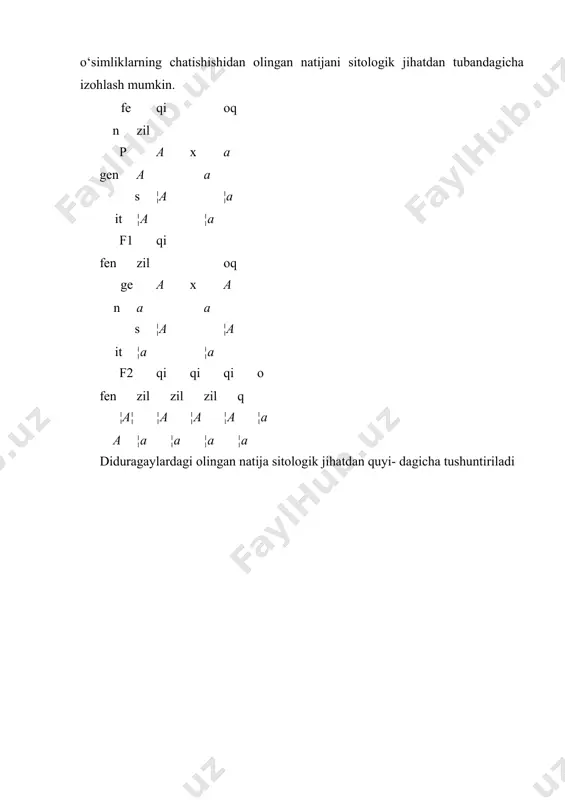 jada ota-onaning ayrim belgilarining o‘zida mujassamlashtirgan individlar hosil bo‘ladi. shunga qaramay krossingover hodisasi belgilarning birikkan holda irsiylanishi qonuniga putur yetkazmaydi. chunki f2 duragaylar orasida ota-ona drozofilalarga o‘xshash belgilari ko‘p, krossingoverga uchragani esa ozchilikni 17%ni tashkil etadi (9-rasm). irsiyatning xromosoma nazariyasi. t.morgan belgilarning birikkan holda irsiylanish qonuni bilan bir qatorda irsiyatning xromosoma nazariyasini ham yaratdi. uning mazmuni quyidagicha: 1. irsiyatning moddiy birligi bo‘lmish genlar xromosomalarda muayyan tartibda turg‘un holatda joylashgan. 2. har bir xromosoma genlarning alohida birikish guruhi- ni tashkil etadi. hujayradagi genlarning birikish guruhi gaploid (n) holatdagi xromosomalar soniga teng. 3. har bir xromosomada joylashgan genlar odatda avloddanavlodga birikkan holda beriladi. 4. birikkan holatdagi genlar gomologik xromosomalarningchalkashuvi tufayli ayrim holatlarda bir-biridan ajralgan holda irsiylanishi mumkin. bu hodisa krossingover deyiladi. adabiyotlar 1. g’afurov a. t. darvinizm toshkent, o’qituvchi1992 yil. 2. воронцов н. п.,сухорукова л.н. эволюционная органического мира. м. просвешение 1991 3. to’raqulov yo. x. malekulyar biologiya. toshkent, o’qituvchi1993 yil 4. иорданскис …