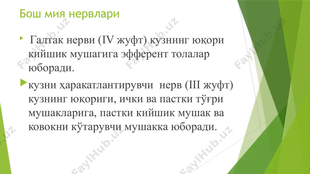 физиология кафедраси - Page 5