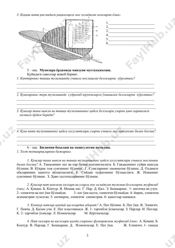 планганлиги. б. гавдасининг суйри шаклда бўлиши. в. кўкрак тож суягининг бўлиши. г. суякларнинг пневматик бўлиши. д. олдинги оёқларининг қанотга айланганлиги. е. сийдик пуфагининг бўлмаслиги. ж. иликнинг суягининг бўлиши. з. ҳаво халтачаларининг бўлиши. 2. қушлар пат қоплами хиллари ва уларга мос келадиган тузилиш белгиларни жуфтлаб ёзинг. а. қоқиш. б. контур. в. момиқ пат. г. пар. д. қил. э. бошқариш: 1- ингичка ва узун. 2- элпиғичи ва пат ўқи бўлмайди. 3- пат ўқи калта, элпиғичи бўлмайди. 4- йирик, элпиғичи асимметрик тузилган. 5- кичикроқ, элпиғичи симметрик. 6- қанотлар панжаси. 3. контур патлар қандай қисмлардан иборат? а. пат бўғими. б. пат ўқи. в. элпиғич. г. пояча. д. қалам учи. е. пат пластинкаси. ж. 1- тартибли ўсиқчалар. з. парлар. и. патлар. к. 2- тартибли ўсиқлар. л. илмоқчалар. м. бўртмачалар. 4. пат хиллари ва қисмлари ҳамда уларнинг функциясини жуфтлаб ёзинг. а. қоқиш. б. контур. в. парлар. г. бошқариш. д. илмоқчалар. е. пат ўқи. ж. елпиғич; 1- …