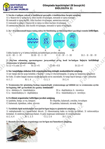 olimpiada topshiriqlari (iii bosqichi) — PDF