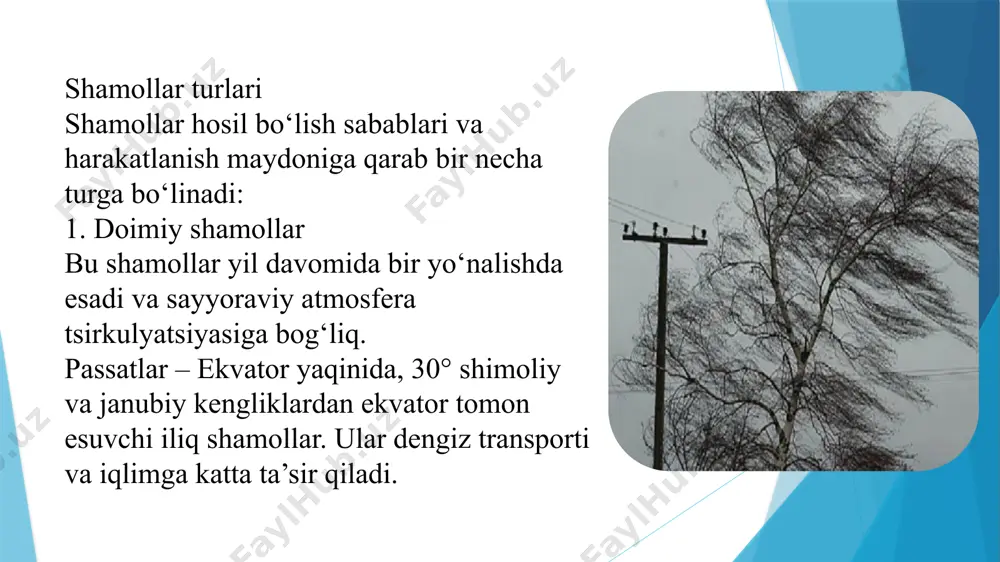 shamollar va ularning turlari - Page 4