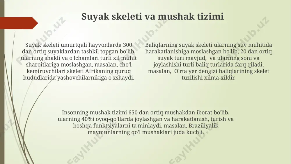 rddan ortiq neyronlarni o‘z ichiga oladi. nerv sistemasining markazlashuvi evolyutsiya jarayonida asta-sekin rivojlanib, pastki hayvonlarda diffuz nerv to‘ri, yuqori hayvonlarda esa, miya va orqa miya kabi markazlashgan tuzilmalar shakllanishi bilan tavsiflanadi. masalan, hasharotlarda 3 ta asosiy miya bo‘limi mavjud. harakatlanish usullari ba’zi sudralib yuruvchilar, masalan, ilonlar, tanasining 300 ga yaqin muskullaridan foydalanib, yerda sudralib yurishadi va ularning harakatlanish tezligi turga va yashash muhitiga bog‘liq bo‘ladi. qushlar 150 ga yaqin turdagi harakatlanish usullariga ega bo‘lib, ularning 70 foizi uchishga, qolganlari esa yurish, suzish yoki sakrash orqali harakatlanadilar, masalan, pingvinlar antarktida muz ustida yurishadi. baliqlarning 20 000 dan ortiq turi mavjud bo‘lib, ularning harakatlanish usuli suv muhitiga moslashgan, quyruq suyaklari va mushaklarining tuzilishi tufayli braziliya amazonkasida yashovchi baliqlar juda tez suzishadi. nafas olish tizimi suvda yashovchi umurtqasiz hayvonlar, masalan, qora dengizdagi mollyuskalarning ba'zilari, suvdan kislorodni qonga so'rib olish uchun gillalarga ega. ularning gillalari 20 ga yaqin yupqa plastinkalardan tashkil topgan. ba'zi hasharotlar, …