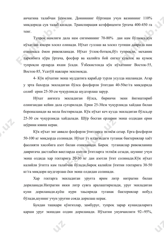ига 1-1,2 млн/дона , вазн хисобида йирик донли нўхатлар 250-300 кг/га, майда донли нўхат 120-150кг/га, енгил тупроқли ерларда 5-7 см, оғир тупроқли ерларда 4-5 см чуқурликда экилади. кўк нўхат ўсимлигини майсалари 3-4 та барг чиқарганда бўйи камида 5-6 см га етганда далалар енгил ёки ўртача борона билан ишланади. нўхат орасидаги бегона ўтларга ва зараркунандаларга қарши кимёвий ишлов берилади.нўхат 1-2 марта суғорилади, ер ости сувлари юза жойлашган ерларда бир марта суғорилади ёғин кўп бўлган йиллари нўхатни суғормаса хам бўлади.нўхат лалми ерларда 30 см, суғориладиган ерларда 60-70 см оралиқда экилиб эгатчалар орқали суғорилади. нўхатнинг хосили бир вақтда етишмайди. аввал энг тўлиқ пастки дуккаклар, сўнгра юқоридагилари пишади, тупдаги хамма дуккакларни пишишини кутиб бўлмайди, чунки пастки дуккаклари донлари тўкилиб кетади. нўхат пишганда тупи одатда ерга ётиб қолиб бир-бирига чирмашиб кетади.шунинг учун алохида икки муддатда йигиш энг яхши усул хисобланади. нўхатни 70% пастки дуккаклари пишганда терила бошланади. нўхат палаги жбл-3,5, жну-3,2, жнб-3,5 маркали махсус ўроқ …
