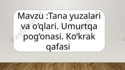 tanayuzalar va o‘qlar — PPTX