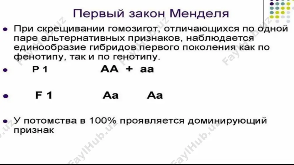 генетика человека - Page 4