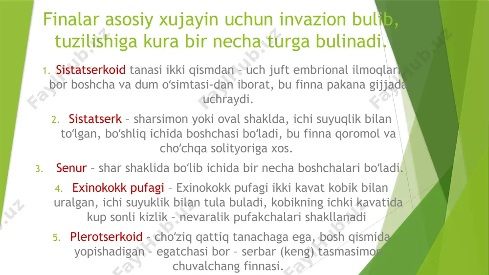 – oʻziga qayta yuqish (autoreinvaziya) hollari kuzatiladi profilaktikasi: bolalarga gigiyenik bilimlar berish, bolalar muassasalarida va ota – onalar oʻrtasida sanitariya – maorif ishlarini olib borish, bolalar oʻyinchoqlarini sterilizatsiyalash laboratoriya diagnostikasi: najasdan boʻgʻim va tuxumlarni topish asosida tashxis qoʻyiladi patogen taʼsiri: gimenolipedoz bilan asosan bolalar kasallanadi, kasallikda bosh ogʻrigʻi, ichakning faoliyati buziladi, charchash va kuchsizlanish kuzatiladi; gimenolipidoz kasalligi haqida ma’lumot gimenolepidozning klinikasi аsosan subklinik kechadi. og’riq sindromi: qorinning o’ng yonbosh sohasida joylashgan simillovchi yoki kesuvchi, xurujli, ovqat iste’mol qilishga bog’liq bo’lmagan og’riqlar, steatoreya rivojlanadi. dispeptik sindrom: ishtaha kamayishi, ko’ngil aynish, noturg’un bo’tqasimon najas. аsteno-nevrotik sindrom: bosh og’rishi, bosh aylanishi, umumiy holsizlik va kuchli charchash, ta’sirchanlik, xotiraning susayishi, parishonxotirlik, mushaklarda talvasali tirishishlar, epileptik tutqanoqlar, teri qoplami oqargan, ozib ketish, tana haroratining ko’tarilishi. enterokinaza, ishqoriy fosfataza, fosfolipazalarning aktivligi oshadi. ba’zan gipovitaminoz (rr, s, v2)lar rivojlanishi mumkin. qonda transaminazalar faolligining ortishi jigar faoliyatining buzilganligidan, jigar kattalashuvidan darak beradi, pal’patsiyada og’riqli, asosan yosh bollarda. jigarning …