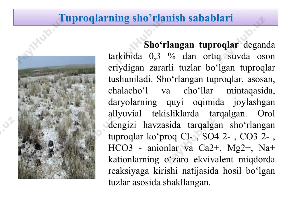 rflanayotgan suv miqdori ekinlarni sug‘orishga berilayotgan suvdan ortiq bo‘lishi natijasida yer osti suvlari va tuproqning pastki qatlamidagi tuzlar kapillyarlar orqali ustki qatlamga ko‘tariladi. dog‘simon sho‘rlanish dalaning balandlik (mikro balandlik) joylarida shakllanadi. yoppasiga sho‘rlanish – bu dalaning hamma yog‘i sho‘rlanganligidir. odatda bunday holat sho‘rlangan yer osti suvlari tuproq sathiga yaqin joylashganda sodir bo‘ladi. tuproqning sho‘rlanish ko‘rinishlari tuproqdagi tuzlarning tarkibiga qarab sho‘rlanish turlari har xil bo‘lishi mumkin. sho‘rlanish turi odatda xlor ionining sulfat ioniga nisbatiga qarab ajratiladi. agar bu nisbat: 2 dan katta bo‘lsa – xlorli sho‘rlanish; 2-1 bo‘lsa – sulfatli-xlorli sho‘rlanish; 1-0,2 bo‘lsa – xlorli sulfatli sho‘rlanish; 0,2 dan kichik bo‘lsa – sulfatli sho‘rlanish deyiladi. sho‘rlanish darajasi bo‘yicha tuproqlar tasnifi tuproq tarkibidagi tuzni kamaytirishga oid tadbirlar me’yorini va amalga oshirish davrlarini belgilash tuproqning sho‘rlanish darajasiga asoslanadi. tuproqlarni sho‘rlanish darajasiga qarab guruhlarga ajratish sho‘rlanish tasnifi (klassifikatsiyasi) deyiladi. o‘zbekiston hududida tarqalgan tuproqlar sho‘rlanish darajasiga qarab quyidagilarga bo‘linadi (1-jadval). sho‘rlanish darajasi bo‘yicha tuproqlar tasnifi …