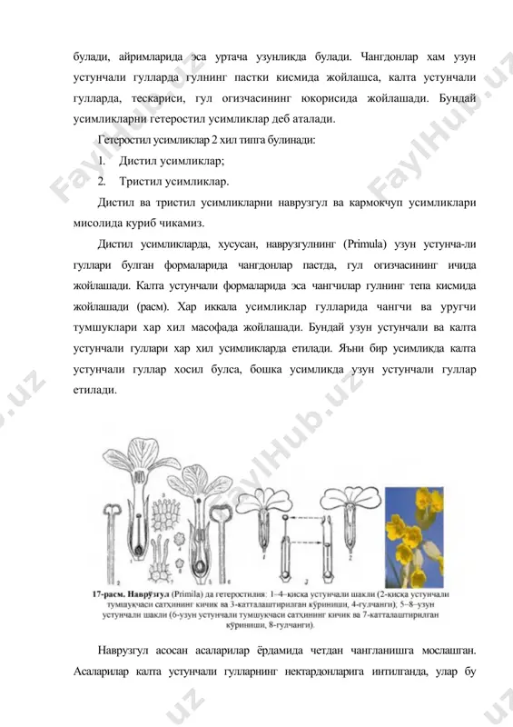 атан камрок хосил килса хам, уларнинг гулчанги иккинчисиникига караганда йирикрок булади (расм). узун устунчали гулларнинг тумшукчалари юзасидаги сургичлар калта устунчали тумшукчаларнинг юзасидаги сургичларга нисбатан узунрок булади. бу эса хдшаротлар олиб келган калта устунчали гулларнинг нисбатан йирикрок булган гулчангларини осонгина ёпиштириб олишга хизмат килади. ч. дарвин (1877 й.) фикрича, калта устунчали гулларнинг гулчангларининг йирикрок ва чанг найчаларининг узунрок булиши узун устунчаларнинг узун чанг йулига усиб бора олиши билан богликдир. хулоса килиб айтиш мумкинки, гетеростил (дистил ва тристил) усимликларда шундай бир морфологик, физиологик ва генетик механизм яратилганки, бу механизм усимликларнинг хашаротлар ёрдамида четдан чангланишига кумаклашади. адабиётлар: 1. ашурметов о а., каршибоев х.к. репродуктивная биология солодки и раздельнолодочника. ташкент. фан. 1995. 212 с. 2. батыгина т.б. эмбриология цветковых растений. санкт-петербург. мир и семья. 2000. т.3. с.258. 3. бейдемен и.н. методика изучения фенологии растений и растительных сообществ. новосибирск. наука.1974.153 с. 4. борисов и.в. сезонная динамика растительного сообществлолевая геоботаника. л.наука. 1972. т.4. с.5-94. 5. пономарев …