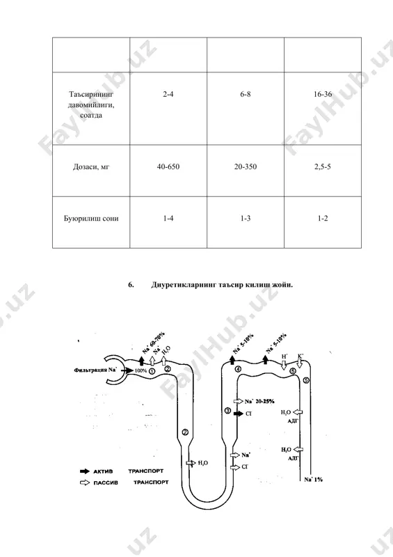 диуретикларнинг таъсир жойлари - Page 5