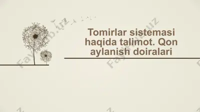 tomirlar sistemasi haqida talimot. qon aylanish doiralari — PPTX