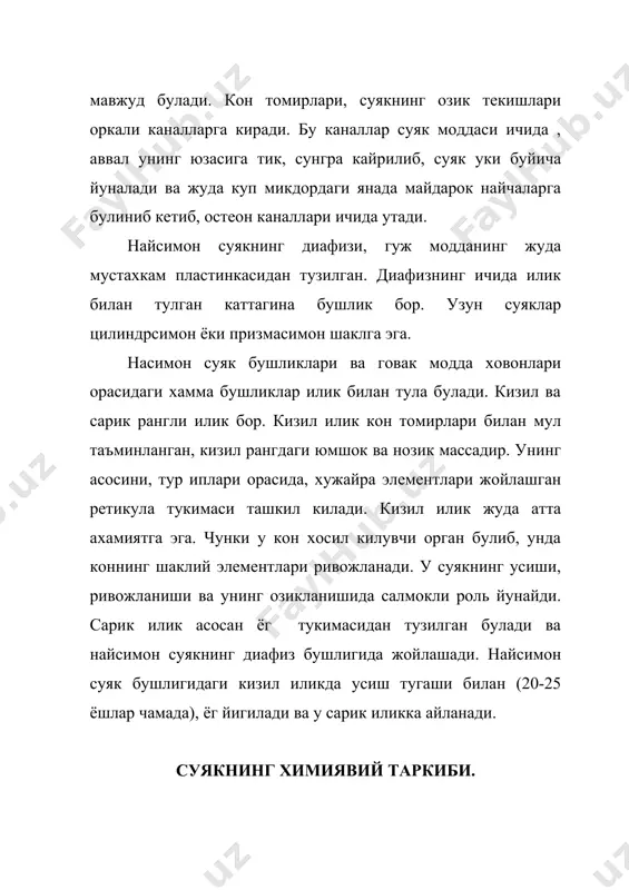га хос тузилган булади ва умурткалараро тогай, пай (боглагич)лар, бугимлар ёрдамида бирикади. сохта умурткалар, одатда баъзи кисмларни йукотган ва узаро бирикиб кетган булади. умуртка погонаси 7 та буйин умурткаси, 12 та кукрак умурткаси, 5 та бел умурткаси, 5 та думгаза умурткаси ва 4-5 та дум умурткаси кисмларига булинади. думгаза ва дум умурткалари (сохта умурткалар) катта одамларда суяк тукимаси ёрдамида бирикиб кетган булиб, алохида суякларни – думгаза (os sagrum) ва дум (os coccygis) ни хосил килади. буйин умурткалари. буйин умурткалари (vertebrae cervigales) нинг танаси унча катта эмас. уларнинг уткир усимталари киска булиб, иккинчидан олтинчигача булганлари айри хосил килади. икки илдизчадан тузилган кундаланг усимталарининг иккита, олдинги ва орка буртиги булади. буйиннинг биринчи умурткаси – атлант(atlas) нинг танаси булмайди; у олдинги ва орка ёйлардан ва улар жойлашган ён кисмлардан иборат, унда уткир усимта хам йук. иккинчи буйин умурткаси – ук (axis) умуртка булиб, танасида тишсимон усимтаси булади. бу тишсимон усимта атлантанинг танаси булиб, …