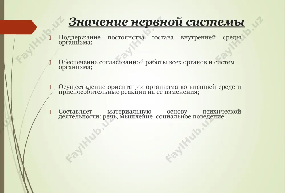 важность нервной системы и гигиена - Page 5