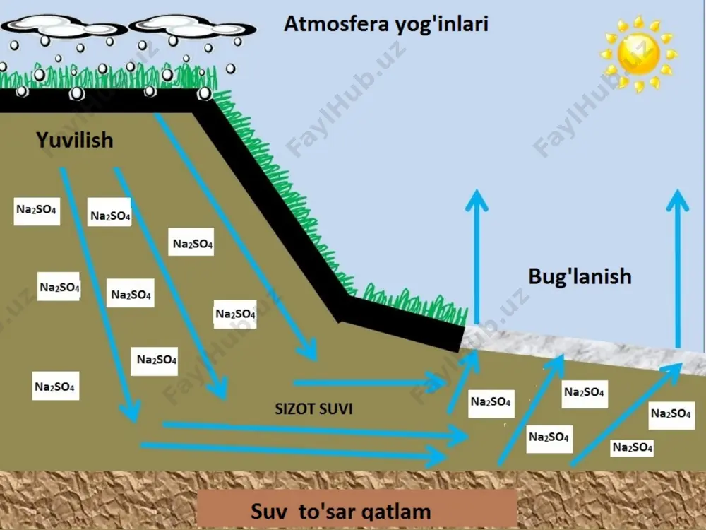 pchaga: gidromorf va avtomorf sho’rxoklarga bo’linadi. gidromorf sho’rxoklar esa o’z navbatida: tipik gidromorf, o’tloq, botqoq sho’rxoklar, dengiz bo’yi sho’rxoklari, ikkilamchi va cho’l taqir tuproqlariga bo’linadi. ular minerallashgan sizot suvlar yer betiga yaqin joylashgan sharoitda sho’rhoklanish jarayoni natijasida paydo bo’ladi. avtomorf sho’rxoklar qoldiq va eol (shamol) do’ngliklardagi sho’rxoklarga bo’linadi: ular sizot suvlari chuqur joylashgan maydonlarda hamda sho’rlangan tuproq hosil qiluvchi jinslarda paydo bo’ladi. sho’rxok tuproqlarda suvda oson eriydigan tuzlar juda xilma-xil bo’lishi mumkin, ammo ko’pincha bu tuzlar uchta kation na+, mg+2, ca2+ va to’rtta anion cl- , so24- , co23- , hco3- larning tabiiy sharoitdagi xar xil kombinasiyalaridan tashkil topgan quyidagi 12 xil tuzlar hosil bo’lishi mumkin: nacl, na2so4, na2co3, nahco3, mgso4, mgcl2, mgco3, mg(hco3)2, cacl2, caso4, caco3, ca(hco3)2. tuzlarning ximiyaviy tarkibini xisobga olgan xolda tuproqlarning sho’rlanganlik darajalarini aniqlash klassifikasiyasi sho’rlan-ganlik darajasi sulfatli xlorid-sulfatli sulfat-xloridli xloridli quruq qoldiq quruq qoldiq xlor quruq qoldiq xlor xlor sho’rlan-magan 3,0 >2,0 >0,3 >1,0 >0,3 …