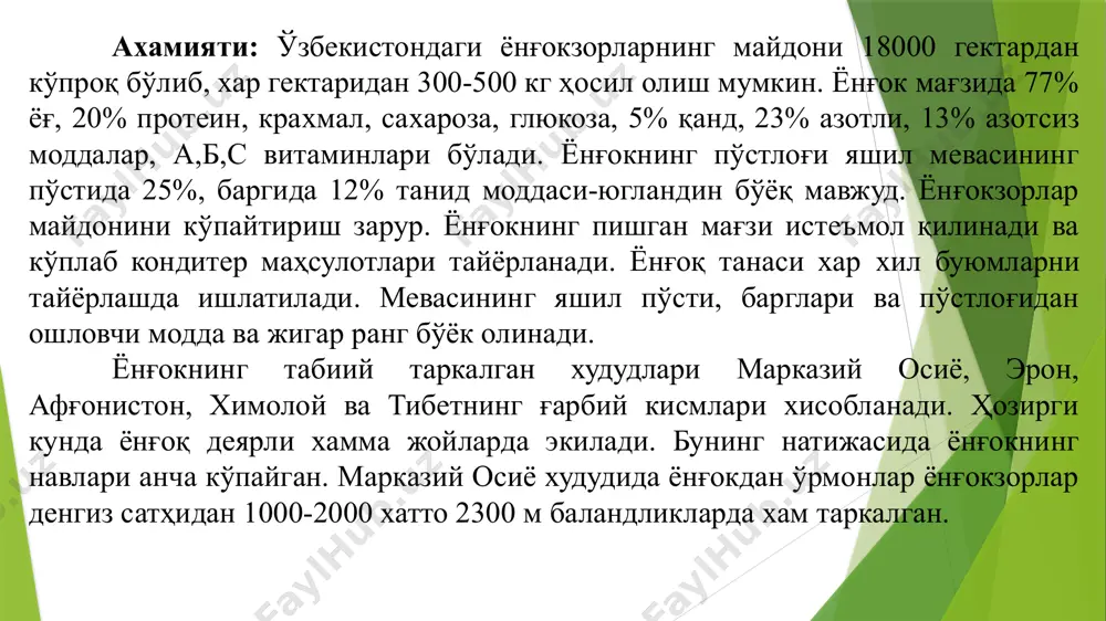 н дарахт. у дарё бўйларидаги нам тупроқли ерларда яхши ўсади. манжурия ёнғоғига нисбатан қурғокчиликка чидамли, 250 йилгача яшаши мумкин. ёғочи қаттиқ, тўк жигар рангда бўлиб, фанер ва чолғу асбоблари ишлаб чиқаришда хамда машинасозлик саноатларида ишлатилади. у тез чиримайди, шунинг учун темир йўл шпаллари ҳам ишланади. меваси мойли ва ҳидли, юпқа пўстли навлари хам бор. қора ёнғоқ ёғоч тайёрлаш учун хам экилади, кўкаламзорлаштиришда хушманзара дарахт сифатида экилади. кул ранг ёнғоқ. бу ёнғоқ шимолий американинг шарқий қисмида тарқалган. мдҳ да хушманзара дарахт сифатида экилади, совуққа чидамли, соясевар дарахт ўсимлик. у ўрмон ва ўрмон-дашт зоналарида яхши ўсади. тупрок танламайди, лекин курғокчиликка чидамсиз. у 75 йилгача яшаши мумкин. пўстлоғида танид моддаси бор, ундан новвоти ранг бўёқ тайёрланади. ёғочи жигар рангли, техникавий хоссалари яхши, ундан фанер ва бошқа дурадгорлнк асбоблари ишланади. ўрмонларни янгилаш ва тоғли ҳудудларда тупроқни ювилиб кетишидан ва эрозиядан сақлаш учун экиш тавсия килинади. гикори ёки кария (сагуа) туркуми. бу туркумга кирувчи турлар …