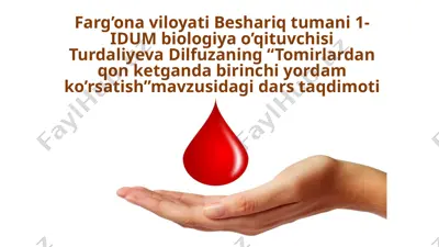 qon ketish turlari va tomirlardan qon ketish turlari — PPTX