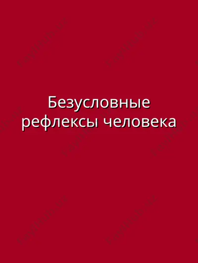 безусловные рефлексы человека — PPT