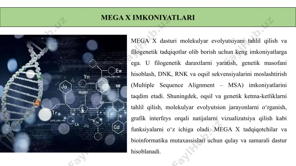 l ketma-ketliklari moslashtirish, genetik masofa hisoblash hamda filogenetik daraxt qurish imkonini beradi. ilmiy tadqiqotlar uchun keng qo‘llanilib, statistika va vizualizatsiya imkoniyatlari bilan qulay foydalanish muhitini ta’minlaydi. kelajakda mega x dasturining yanada rivojlanishi kutilmoqda. sun’iy intellekt va mashinaviy o‘rganish algoritmlarining qo‘shilishi orqali tahlil jarayonlarini avtomatlashtirish va natijalarning aniqligini oshirish mumkin. foydalanilgan adabiyotlar axmedov a. a., jo‘rayev m. h. "bioinformatika va genetik tahlil asoslari" – toshkent: fan va texnologiya, 2020. qosimov sh., normurodov a. "genetika va genomika asoslari" – toshkent: o‘zbekiston milliy universiteti nashriyoti, 2019. to‘rayev u. "molekulyar biologiya va biotexnologiya" – toshkent: o‘qituvchi, 2017. raximov m., xolmirzayev n. "zamonaviy bioinformatika va evolyutsion analiz" – toshkent: innovatsiya nashriyoti, 2021. o‘zbekiston respublikasi fanlar akademiyasi nashrlari – biologiya va genetika yo‘nalishidagi ilmiy maqolalar to‘plami (turli yillarda chop etilgan). image1.png image2.png image3.png image4.png image5.png /docprops/thumbnail.jpeg