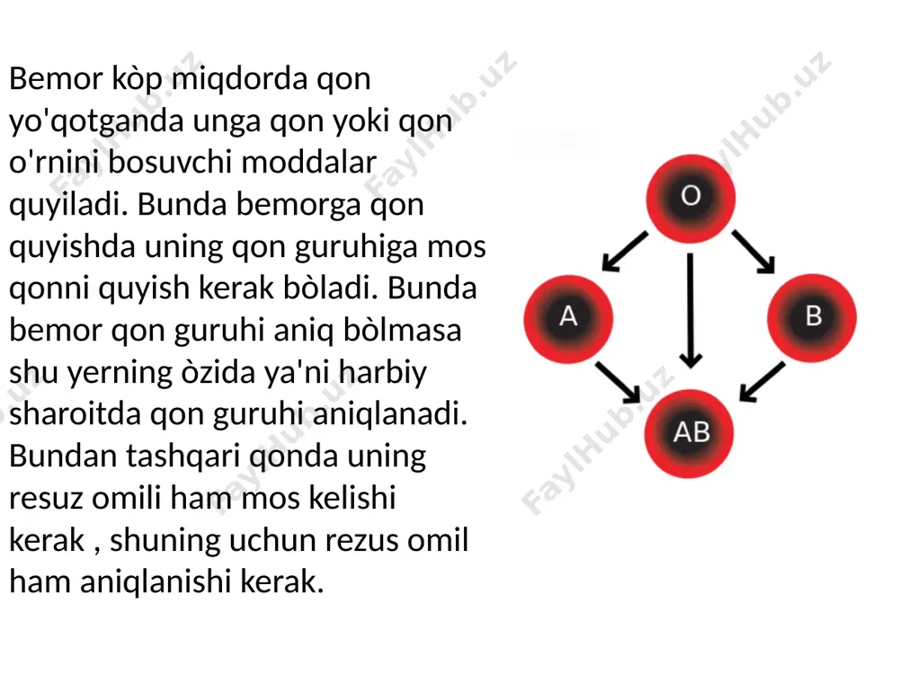 ), b(iii) yozuvlariga suriladi. 4. har bir tomchiga 2 seriali standart zardob (0,a,b) qon tomchisi hajmidan 8—10 marta yuqori hajmida qo'shiladi. 5. shisha tayoqcha yordamida yoki tarelkani silkitib har bir qon zardob bilan aralashtiriladi. 6. 5-8 daqiqa ichida agglyutinatsiya reaksiyasi bo‘lishi ko'zatiladi reaksiya natijalari 1. hamma 3 tomchida agglyutinatsiya yo'qligi tekshirilayotgan qonda agglyutinogen yo'qligini bildiradi. qon 0(1) guruhiga kiradi. 2. 0(1) va b(i1i) guruhlari zardob tomchisida agglyutinatsiya bo'lishi, qonda agglyutinogen a borligini bildiradi. qon a(i1) guruhiga kiradi. 3. 0(1) va a(ii) guruhli zardob tomchisida agglyutinatsiya bo'lishi, qonda agglyutinogen v borligini bildiradi. qon v(iii) guruhga kiradi. 4. hamma uchta tomchida agglyutinatsiya bo'lishi tekshirilayotgan qonda ikkala agglyutinogen a va b borligini bildiradi. qon ab(iv) guruhga kiradi. nospesifik reaksiya hisobiga hamma zardoblar bilan ham agglyutinatsiya bo'lishini hisobga olish kerak. shuning uchun tarelkaga 2 - 3 tomchi ab (iv) guruh standart izogemagglyutinlovchi zardob solinadi va unga 1 tomchi tekshiriluvchi qon qo'shiladi. qon va zardob …