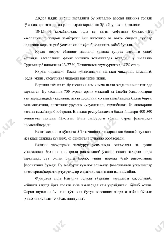 курашиш чоралари: 1.касал ғўзапоя қолдиқларини тўлиқ даладан чиқариш; 2.ғўза-беда алмашлаб экиш 3.дехқончилик маданиятини кучайтириш. ерни экишга тайёрлашдан тортиб хамма ишловни беришлари. вилт билан касалланган далада бедапоя бузилиб, ғўза ўстирилганда, хосилдорлик гағц (пахтачилик институти маълумотлари). булардан ташқари вилт замбуруғи билан касалланган далаларга: 1.карбомиднинг 1,5% ишчи эритмаси (3-5 та чинбарг даврида 400 л сув билан сепилади. 2.гектарига 50-75 кг пентихлор тробензолдан экиш билан бирга15-20 см чуқурликка берилади; 3.гектарига альгин ёки узген препаратларидан минерал ўғитлар билан аралаштириб шудгорлашдан олдин берилади; 4.гектаридан 15-20 кг биопрепарат - триходерин шудгорлаш билан ёки экиш олдидан бериш тавсия қилинади. гоммоз-бу касаллик пахта етиштирадиган хамма давлатларда тарқалган бахор салқин ва серёғин келганда бу касаллик кўп тарқалади ва баъзи йиллари 60-70 % етиши мумкин. ғўза уруғбаргларининг касалланишига касалланган чигит сабаб бўлади, ёки хали чиримаган ўсимлик қолдиғидаги инфекция (бактерия) ўтади. уруғбарг касалланганида унинг сиртида мойсимон туганак доғлар пайдо бўлади. касаллик кучайиб кетганда доғлар катталашиб, барг бандига ва ундан пояга, новдага ўтади. …