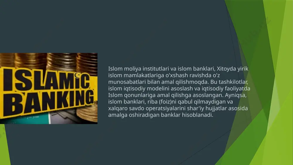islom moliya institutlari va islom banklari - Page 4