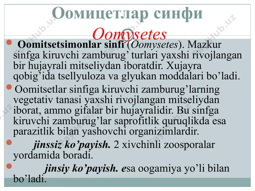 lbugolar-albuginaceae bu oilaga kiruvchi zamburug‘ turlari ham haqiqiy parazitlardir. ular o‘simliklarda oqarish ya’ni oq zang kasalligini qo‘zg‘atadi. ularning mitseliylari o‘simlik tanasi ichida rivojlanib, konidiyabandlari o‘simlik epidermisini yirtib chiqadi va mayda oq yostiqchalar hosil qiladi. zigomitsetlar sinfi. zygomysetes reja: 1.zigomitsetlar sinfining tavsifi. 2. sistematikasi, tartiblari, asosiy oila va turkumlari. zigomitsetslar sinfi (zygomysetes). mazkur sinf yaxshi rivojlangan, hujayrasiz yoki etilgan vaqtida mitseliy hujayralariga bo’linuvchi zamburug’ turlarini o’z ichiga oladi. jinssiz ko’payishi harakatsiz (xivchinsiz) sporanggiospora yoki konidiyali bo’ladi, jinsiy ko’payishi – zigogamiya tipida bo’lib, ikkita bir xil harakatsiz, ammo jinslari har xil bo’lgan gametalarni (mitseliy qismlarini) qo’shilishi natijasida zigosporalar hosil qiladi. zigomitsetlar sinfi 2 ta tartibga bo’linadi: jinssiz ko‘payishi harakasiz (xivchinsiz) sporanggiospora yoki konidiyali bo‘ladi zamburug‘larining oosporangiylari (a) va zoosporalari (b); 2-rhizopus nigrisans zamburug‘ining sporangiy bandi (a) va sporangiylari (b); 3-sporanggiy (a), ustunchasi (b); 4-oyedosephalum turkumi zamburug‘ining konidiyabandi (a) va konidiyalari (b). jinsiy ko‘payishi – zigogamiya tipida bo‘lib, ikkita bir xil harakasiz, ammo …