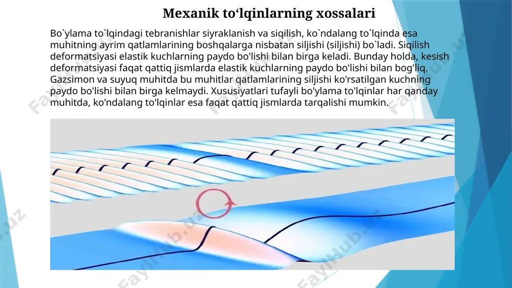 mexanik to‘lqinlar va organizmlar - Page 5