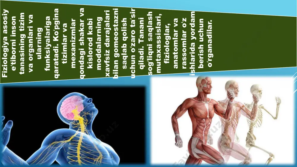 l ppt/diagrams/drawing22.xml ppt/diagrams/data23.xml ppt/diagrams/layout23.xml ppt/diagrams/quickstyle23.xml ppt/diagrams/colors23.xml ppt/diagrams/drawing23.xml ppt/diagrams/data24.xml ppt/diagrams/layout24.xml ppt/diagrams/quickstyle24.xml ppt/diagrams/colors24.xml ppt/diagrams/drawing24.xml docprops/app.xml docprops/core.xml docprops/thumbnail.jpeg docprops/custom.xml ppt/media/image1.png ppt/media/image10.png ppt/media/image11.png ppt/media/image12.png ppt/media/image13.png ppt/media/image14.jpeg ppt/media/image15.png ppt/media/image16.png ppt/media/image17.png ppt/media/image18.png ppt/media/image19.png ppt/media/image2.png ppt/media/image20.png ppt/media/image21.png ppt/media/image22.png ppt/media/image23.png ppt/media/image24.png ppt/media/image25.jpeg ppt/media/image26.png ppt/media/image27.png ppt/media/image3.png ppt/media/image4.png ppt/media/image5.png ppt/media/image6.png ppt/media/image7.png ppt/media/image8.png ppt/media/image9.jpeg ppt/presentation.xml _rels/.rels ppt/diagrams/_rels/data10.xml.rels ppt/diagrams/_rels/data12.xml.rels ppt/diagrams/_rels/data14.xml.rels ppt/diagrams/_rels/data15.xml.rels ppt/diagrams/_rels/data16.xml.rels ppt/diagrams/_rels/data20.xml.rels ppt/diagrams/_rels/data21.xml.rels ppt/diagrams/_rels/data22.xml.rels ppt/diagrams/_rels/data23.xml.rels ppt/diagrams/_rels/data3.xml.rels ppt/diagrams/_rels/data5.xml.rels ppt/diagrams/_rels/data8.xml.rels ppt/diagrams/_rels/drawing10.xml.rels ppt/diagrams/_rels/drawing12.xml.rels ppt/diagrams/_rels/drawing14.xml.rels ppt/diagrams/_rels/drawing15.xml.rels ppt/diagrams/_rels/drawing16.xml.rels ppt/diagrams/_rels/drawing20.xml.rels ppt/diagrams/_rels/drawing21.xml.rels ppt/diagrams/_rels/drawing22.xml.rels ppt/diagrams/_rels/drawing23.xml.rels ppt/diagrams/_rels/drawing3.xml.rels ppt/diagrams/_rels/drawing5.xml.rels ppt/diagrams/_rels/drawing8.xml.rels ppt/_rels/presentation.xml.rels ppt/slidelayouts/_rels/slidelayout1.xml.rels ppt/slidelayouts/_rels/slidelayout10.xml.rels ppt/slidelay