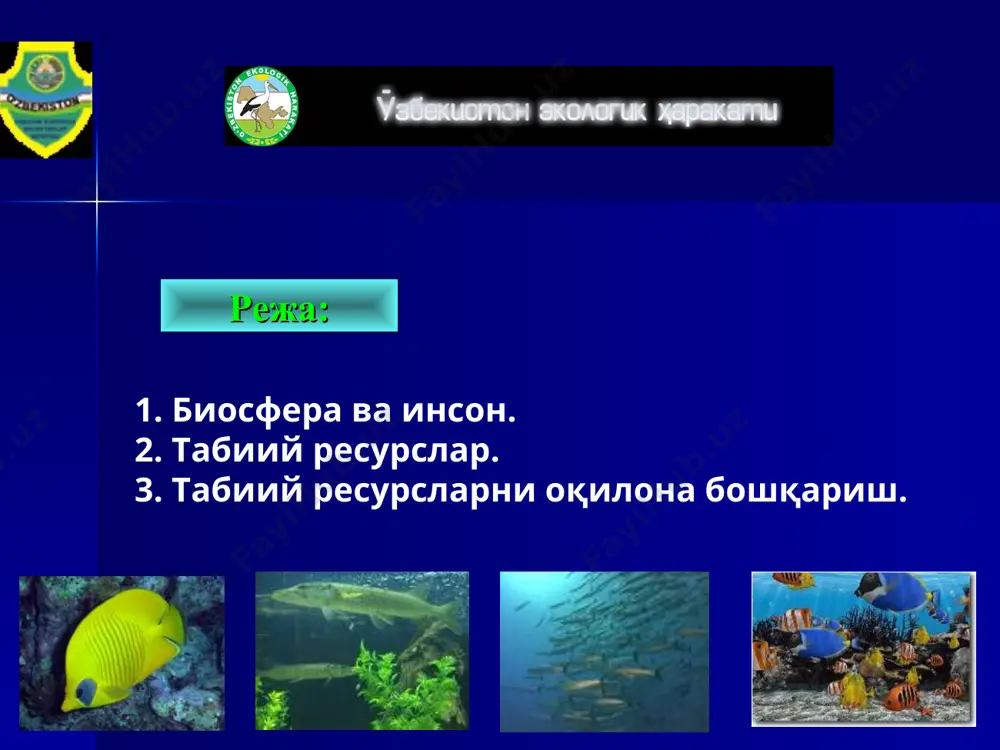 биосфера ва табиий ресурслардан оқилона фойдаланиш - Page 3