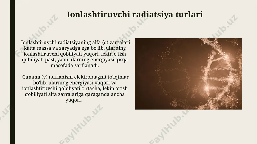 radiatsiyon nurlanishning genetik tasiri - Page 4