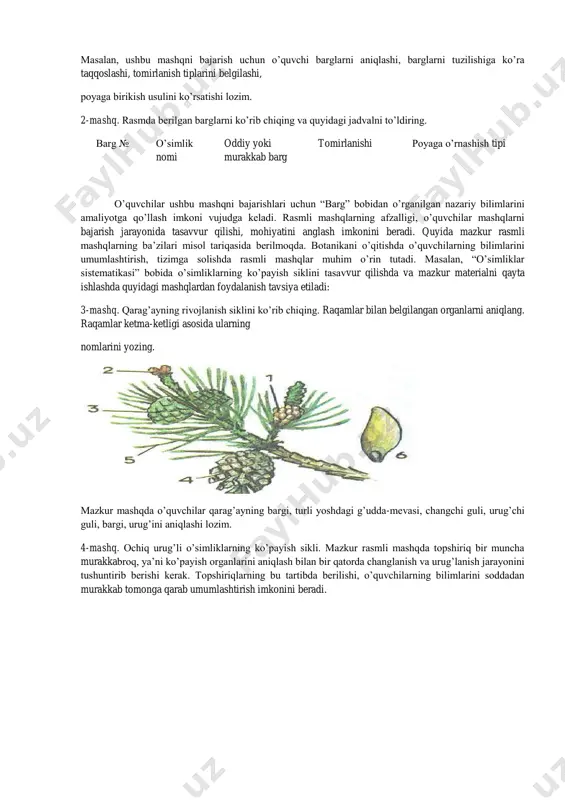 ), g’ovak to’qima hujayralari ( ), barg osti epidermisi ( ), ustitsa (barg og’izchasi) ( ), tomirlar ( ), mexanik tolalar ( ), o’tkazuvchi naylar ( ) qaysi raqamlarda berilganligini aniqlang va qavslar ichiga yozing. botanikani o’qitishda foydalaniladigan mashqlar ichida taqqoslash, tahlil qilishni taqoza etadigan mashqlar ham uchraydi. masalan, ushbu mashqni bajarish uchun o’quvchi barglarni aniqlashi, barglarni tuzilishiga ko’ra taqqoslashi, tomirlanish tiplarini belgilashi, poyaga birikish usulini ko’rsatishi lozim. 2-mashq. rasmda berilgan barglarni ko’rib chiqing va quyidagi jadvalni to’ldiring. barg № o’simlik nomi oddiy yoki murakkab barg tomirlanishi poyaga o’rnashish tipi o’quvchilar ushbu mashqni bajarishlari uchun “barg” bobidan o’rganilgan nazariy bilimlarini amaliyotga qo’llash imkoni vujudga keladi. rasmli mashqlarning afzalligi, o’quvchilar mashqlarni bajarish jarayonida tasavvur qilishi, mohiyatini anglash imkonini beradi. quyida mazkur rasmli mashqlarning ba’zilari misol tariqasida berilmoqda. botanikani o’qitishda o’quvchilarning bilimlarini umumlashtirish, tizimga solishda rasmli mashqlar muhim o’rin tutadi. masalan, “o’simliklar sistematikasi” bobida o’simliklarning ko’payish siklini tasavvur qilishda va mazkur materialni …