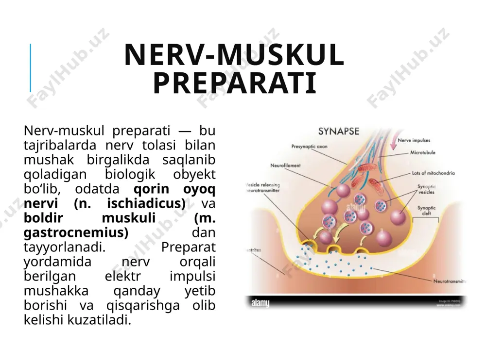 tibbiyot nashriyoti, 2018. image2.png image3.png image4.jpeg image5.png image6.png image7.png image8.png image9.png image10.png image11.png image12.png image13.png /docprops/thumbnail.jpeg