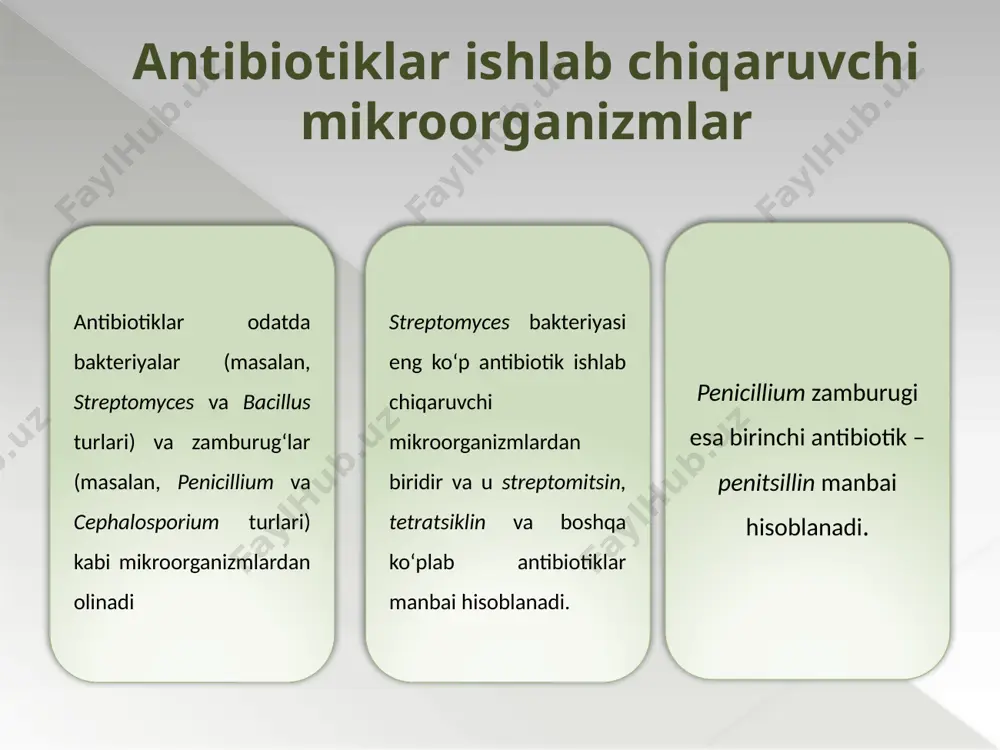 abi antibiotiklarni sintezlaydi. batsitratsin ko‘pincha yaralarni antiseptik davolashda qo‘llanadi, polimiksin esa ayrim turdagi infeksiyalarga qarshi ishlatiladi. 4. cephalosporium zamburug‘i antibiotik turi: tsefalosporinlar tavsif: cephalosporium acremonium zamburug‘i tsefalosporinlar guruhiga mansub antibiotiklarni sintezlaydi. tsefalosporinlar keng spektrli antibiotiklar hisoblanib, bakteriyalarga qarshi keng qo‘llaniladi va ular turli infeksiyalarni davolashda muhim ahamiyatga ega. 5. micromonospora bakteriyasi antibiotik turi: gentamitsin tavsif: micromonospora purpurea bakteriyasi gentamitsin antibiotikini ishlab chiqaradi. gentamitsin aminoglikozid guruhiga mansub bo‘lib, ko‘plab bakterial infeksiyalar, ayniqsa og‘ir infektsiyalar va jarohatlarning oldini olish uchun ishlatiladi. 6. actinomyces bakteriyasi antibiotik turi: aktinomytsin tavsif: actinomyces turiga kiruvchi bakteriyalar aktinomytsin sintezlaydi. aktinomytsin ko‘pincha saraton kasalligiga qarshi terapiyada qo‘llaniladi, lekin u bakterial infeksiyalarni davolashda ham foydalaniladi. 7. nocardia bakteriyasi antibiotik turi: nistatin tavsif: nocardia bakteriyasi nistatin ishlab chiqaradi, bu antibiotik qo‘ziqorin infektsiyalariga qarshi ishlatiladi. nistatin asosan zamburug‘ infektsiyalarini davolashda samaralidir. e’tiboringiz uchun rahmat 15 image2.jpeg image3.jpeg image4.jpeg image5.jpeg