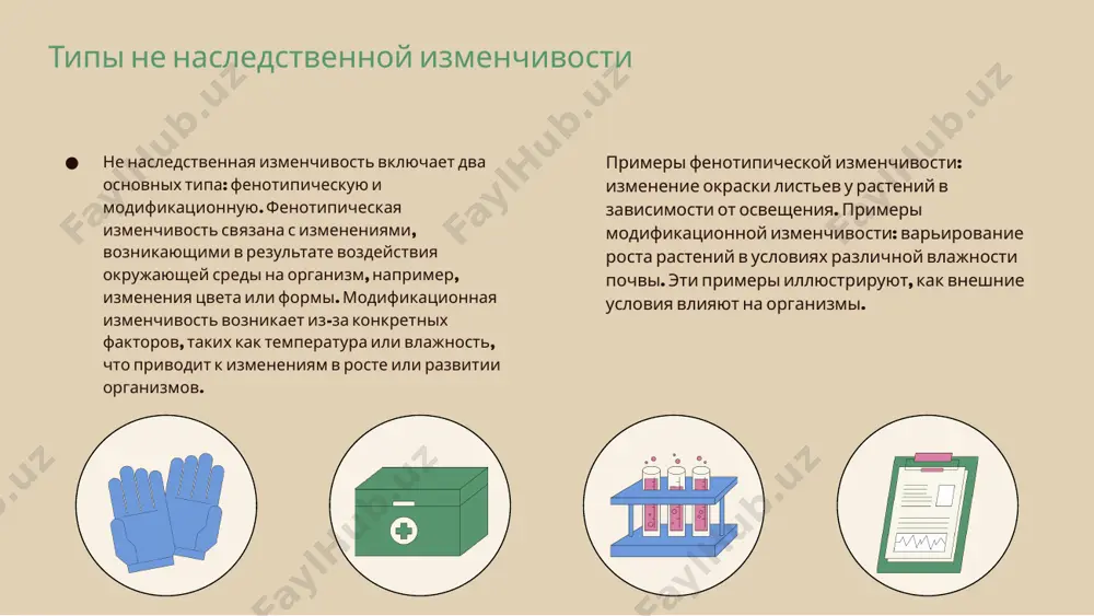ен демонстрирует, как генетические факторы влияют на визуальные характеристики растений. примеры у животных наследственные болезни у животных, такие как гемофилия у собак или мышечная дистрофия у кошек, могут существенно влиять на здоровье популяции. эти заболевания часто возникают из-за генетических мутаций и могут передаваться от родителей к потомству, что увеличивает риск заболеваний внутри определенных пород. примеры у грибов некоторые грибы также демонстрируют наследственную изменчивость, например, изменение цвета спор в зависимости от условий среды. эти изменения могут быть вызваны генетическими факторами и могут влиять на их выживаемость и распространение в различных экосистемах. примеры у микроорганизмов микроорганизмы, такие как бактерии, могут изменяться под воздействием мутаций, что может приводить к устойчивости к антибиотикам. это явление наследственной изменчивости имеет серьезные последствия для медицины и здравоохранения. влияние наследственной изменчивости на эволюцию разнообразие наследственная изменчивость служит основным источником биологического разнообразия, позволяя организмам адаптироваться к изменениям в окружающей среде. она способствует появлению новых признаков и характеристик, которые передаются …