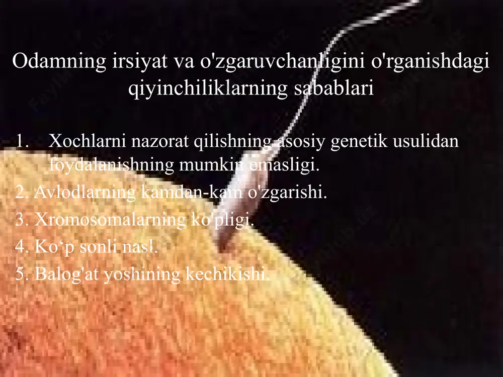 ya'ni ayol individning erkakdan farq qiladigan xususiyatlari. jinsni aniqlash ikkilamchi jinsiy belgilar ko'payishda bevosita ishtirok etmaydi, balki ikki jinsning uchrashuvida qatnashadi va balog'at davrida paydo bo'ladi. bular mushak-skelet tizimining rivojlanish xususiyatlari, ovoz tembri, maxsus hidli bezlar va boshqalar. birlamchi jinsiy xususiyatlar ko'payish jarayonlarida bevosita ishtirok etadigan organlar tomonidan ifodalanadi, ya'ni. gametogenez va urug'lanishda. bu tashqi va ichki jinsiy a'zolar. ular embriogenez jarayonida hosil bo'ladi. jinsning xromosoma nazariyasi k. korrens (1907) urug'lanish bir xil jinsiy xromosomalarga ega bo'lgan jins gomogametikdir turli xil jinsiy xromosomalarga ega bo'lgan jins geterogametikdir inson xromosomalari to'plami ayollar - 2 x 22 juft + xx, erkaklar - 2 x 22 juft + xy, inson xromosomalari to'plami xaritasi inson karyotipida erkak va ayol organizmlarida bir xil bo'lgan 22 juft xromosoma va ikkala jinsni ajratib turuvchi bir juft xromosoma mavjud. ikkala jinsda ham bir xil bo'lgan xromosomalar autosomalar deyiladi. erkak va ayol jinslari bir-biridan farq qiladigan xromosomalar jinsiy xromosomalar …