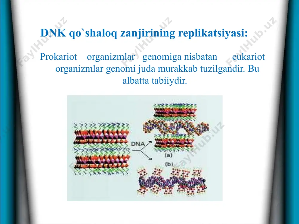 o`simlik hujayralarining ontogenezi va hujayra tuzilmalarining biogenezi - Page 5