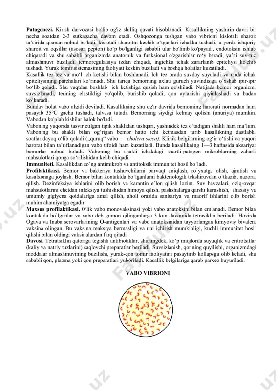 tda bo‘ganlarga dizenteriya bakteriofagi beriladi. davosi. komplekslashgan. sulfanilamid va antibiotiklar bilan davolanadi. spetsifik davosi yo‘q. · 2 – vabo faqat odamlarda uchraydigan o`ta xavfli o`tkir yuqumli kasallik bo`lib, u biror yerda boshlansa tezda epidemiya yoki pandemiya shaklida tarqalib ketadigan va organizmning suvsizlanishi bilan kechadigan kasallikdir. bu kasallikda o`lim 70 % gaсha yetadi. vabo vibrionini r. kox 1883 yilda, aniqlagan. morfologiyasi. vabo vibrioni biroz bukilgan, vergul shakliga o‘xshash, juda polimorf tayoqchadir. u juda harakatchan. xivchini monotrix joylashgan va u bakteriya tanasiga qaraganda uzun. spora va kapsula hosil qilmaydi. gram manfiy bolib bo‘yaladi. bo'yalgan preparatlarda baliq to‘dasiga o'xshab ko‘rinadi. vabo vibrioni — fakultativ anaerob. oziqa muhitiga talabchan emas, uch turdagi toksinlarni ajratadi. - toksinning 1 turi endotoksin, mikrob hujayrasi parchalanganda hosil bo'iadi. yog‘, uglevod, oqsil tabiatli, yuqori haroratga chidamli. bu toksin antibakterial immunitet hosil bolishida ishtirok etadi. - toksinning ii turi ekzotoksin (xolerogen) bo‘lib termolabil, enterotoksik ta’sir ko‘rsatadi va vabo patogenezida katta …