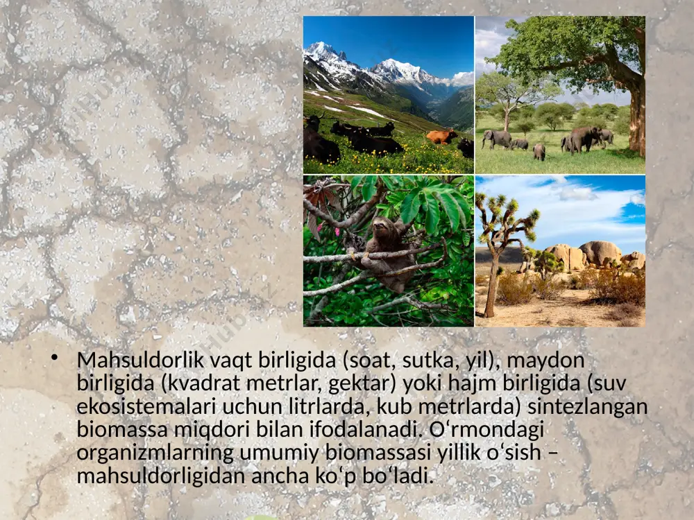 ekotizimlarning mahsuldorligi. 11 - sinf - Page 5