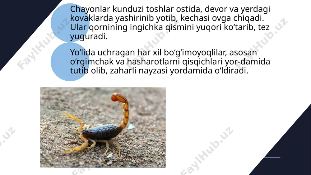 ik kanalarda traxeyalar rivojlangan. bir qancha turlarining nafas olish organlari bommaydi. qon soiuvclii kanalarning ichagi juda kengayib, yon xaltalami hosil. ayrim kanalaming erkaklarida haqiqiy kopulyativ organ boiadi. ko‘pchilik hollarda urg‘ochi kana spermatofor yordamida urugianadi. e’tiboringiz uchun raxmat image1.jpeg image2.jpeg image3.png image4.jpeg image5.jpeg image6.png image7.jpeg image8.jpeg image9.jpeg image10.png image11.jpeg image12.jpeg sahara desert /docprops/thumbnail.jpeg