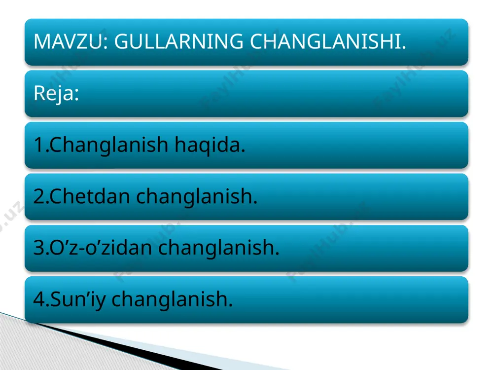 shamol yordamida changlanishi. shunday o‘simliklar borki, ularning guli faqat shamol yordamida changlanadi. bunday o‘simliklarning guli ko‘rimsiz, mayda va hidsiz bo‘ladi. chang shamol yordamida bir guldan boshqa gulga o‘tsa, bunday o‘simliklar shamol yordamida changlanadigan o‘simliklar deyiladi (bug‘doy, arpa, sholi, suli, tol, terak, yong‘oq va boshqalar). shamol yordamida changlanadigan ko‘pgina o‘simliklar avval gullab, keyin barg chiqaradi.bug‘doy shamol yordamida changlanadigan o‘simlikdir. u ikki jinsli o‘simlik. uning gullari murakkab boshoqda o‘rnashgan bo‘lib, changchilari boshoqdan tashqarida osilib turadi. shamol yordamida changlanadigan o’simliklar. shamol esgan vaqtda tebrangan changchi gullardagi changdonlar bir-biriga urilib yoriladi va ulardan chang sochiladi. shamol yordamida bu changlar boshoqdan urug‘chi gulning tumshuqchasiga o‘tadi. bordi-yu, shamol esmay chang boshoqdagi hamma tumshuqchalarga tushmay qolsa, u holda siyrak donli boshoq hosil bo‘ladi va hosildorlik pasayib ketadi. gullarning o‘z-o‘zidan changlanishi. agar bir tup o‘simlik changchisidagi chang shu guldagi urug‘chining tumshuqchasiga tushsa bunday changlanish o‘z-o‘zidan changlanish deyiladi. bunday changlanish changdondagi chang va urug‘chilar bir vaqtda yetilgandagina sodir bo‘ladi. …